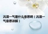沆瀣一气是什么意思啊（沆瀣一气意思详解）