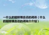 一什么的翅膀填合适的词语（什么的翅膀填合适的词简介介绍）