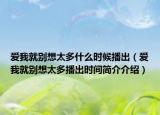爱我就别想太多什么时候播出（爱我就别想太多播出时间简介介绍）