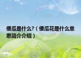 倭瓜是什么?（倭瓜花是什么意思简介介绍）