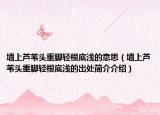 墙上芦苇头重脚轻根底浅的意思（墙上芦苇头重脚轻根底浅的出处简介介绍）