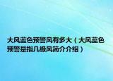 大风蓝色预警风有多大（大风蓝色预警是指几级风简介介绍）