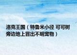 洛克王国（特鲁米小径 可可树 旁边地上冒出不明宠物）