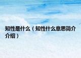 知性是什么（知性什么意思简介介绍）