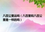 八百公里远吗（八百里和八百公里是一样的吗）