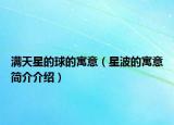 满天星的球的寓意（星波的寓意简介介绍）