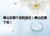 泰山在哪个省的地位（泰山在哪个省）