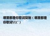 哪里都是你歌词复制（哪里都是你歌词\