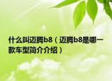 什么叫迈腾b8（迈腾b8是哪一款车型简介介绍）