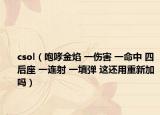 csol（咆哮金焰 一伤害 一命中 四后座 一连射 一填弹 这还用重新加吗）