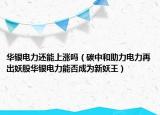 华银电力还能上涨吗（碳中和助力电力再出妖股华银电力能否成为新妖王）