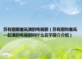 苏有朋跟秦岚演的电视剧（苏有朋和秦岚一起演的电视剧叫什么名字简介介绍）