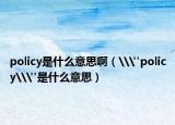 policy是什么意思啊（\