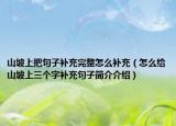 山坡上把句子补充完整怎么补充（怎么给山坡上三个字补充句子简介介绍）