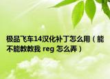 极品飞车14汉化补丁怎么用（能不能教教我 reg 怎么弄）