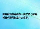 藤井树和藤井树在一起了吗（藤井树喜欢藤井树是什么意思）