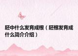 胚中什么发育成根（胚根发育成什么简介介绍）