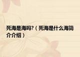 死海是海吗?（死海是什么海简介介绍）