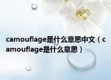 camouflage是什么意思中文（camouflage是什么意思）
