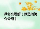 菽怎么理解（菽是指简介介绍）