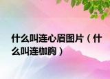 什么叫连心眉图片（什么叫连枷胸）