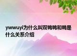 ywwuyi为什么叫双鸭鸭和鸭是什么关系介绍
