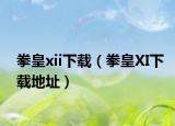 拳皇xii下载（拳皇XI下载地址）
