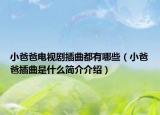 小爸爸电视剧插曲都有哪些（小爸爸插曲是什么简介介绍）