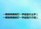 一棵树两棵树打一字谜是什么字（一棵树两棵树打一字谜简介介绍）