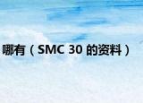 哪有（SMC 30 的资料）
