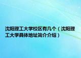 沈阳理工大学校区有几个（沈阳理工大学具体地址简介介绍）