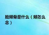 脸颊骨是什么（颊怎么念）