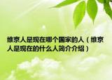 维京人是现在哪个国家的人（维京人是现在的什么人简介介绍）