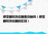 感受器和效应器是突触吗（感受器和效应器的区别）