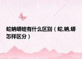 蛇蚺蟒蝰有什么区别（蛇,蚺,蟒怎样区分）