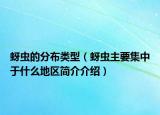 蚜虫的分布类型（蚜虫主要集中于什么地区简介介绍）