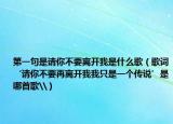 第一句是请你不要离开我是什么歌（歌词‘请你不要再离开我我只是一个传说’是哪首歌\）