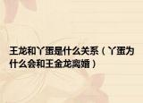 王龙和丫蛋是什么关系（丫蛋为什么会和王金龙离婚）
