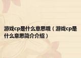 游戏cp是什么意思哦（游戏cp是什么意思简介介绍）