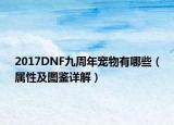 2017DNF九周年宠物有哪些（属性及图鉴详解）