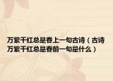 万紫千红总是春上一句古诗（古诗万紫千红总是春前一句是什么）