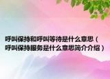 呼叫保持和呼叫等待是什么意思（呼叫保持服务是什么意思简介介绍）