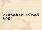 迟子建作品集（迟子建的作品简介介绍）