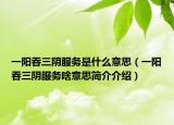 一阳吞三阴服务是什么意思（一阳吞三阴服务啥意思简介介绍）