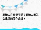 原始人在哪里生活（原始人是怎么生活的简介介绍）