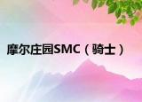 摩尔庄园SMC（骑士）