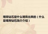 培育钻石是什么培育出来的（什么是培育钻石简介介绍）