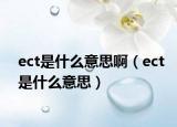 ect是什么意思啊（ect是什么意思）