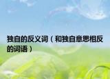 独自的反义词（和独自意思相反的词语）