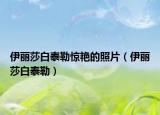 伊丽莎白泰勒惊艳的照片（伊丽莎白泰勒）